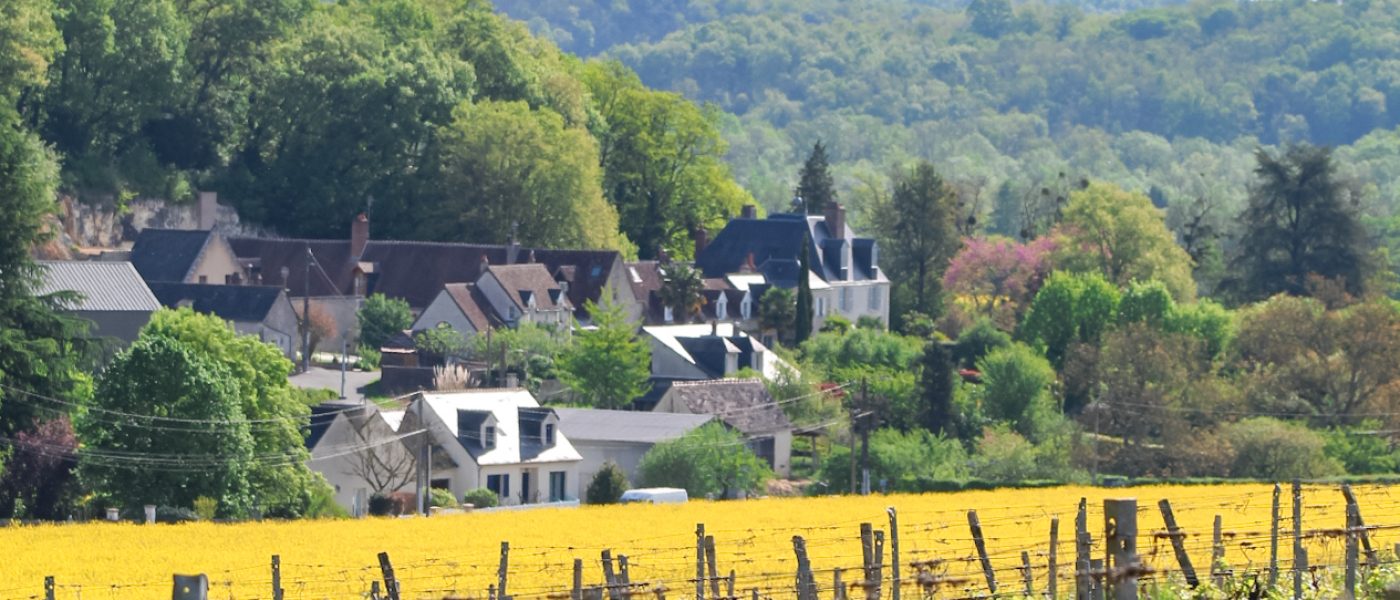 HOME_DOMAINE